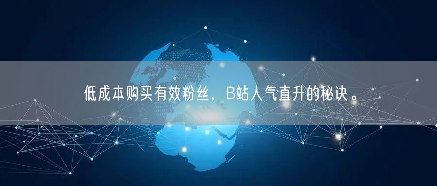 低成本购买有效粉丝，B站人气直升的秘诀。