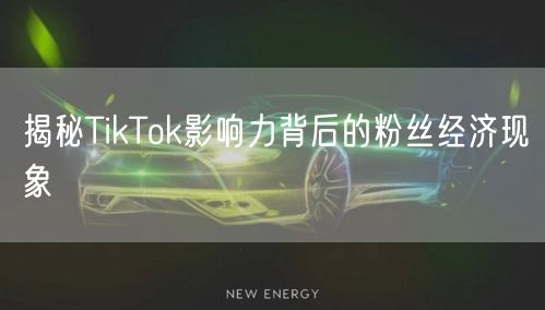 揭秘TikTok影响力背后的粉丝经济现象