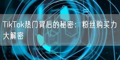 TikTok热门背后的秘密：粉丝购买力大解密
