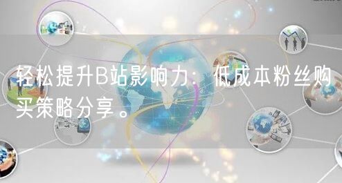 轻松提升B站影响力：低成本粉丝购买策略分享。