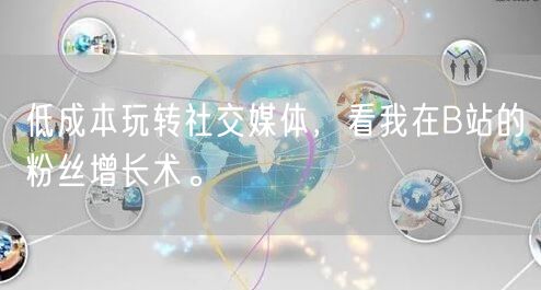 低成本玩转社交媒体，看我在B站的粉丝增长术。