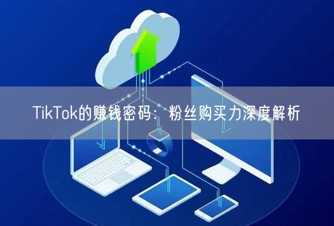 TikTok的赚钱密码：粉丝购买力深度解析
