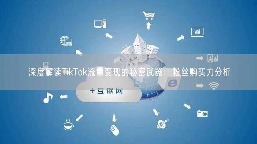 深度解读TikTok流量变现的秘密武器：粉丝购买力分析