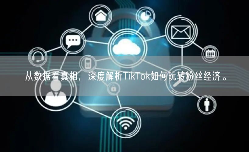 从数据看真相，深度解析TikTok如何玩转粉丝经济。