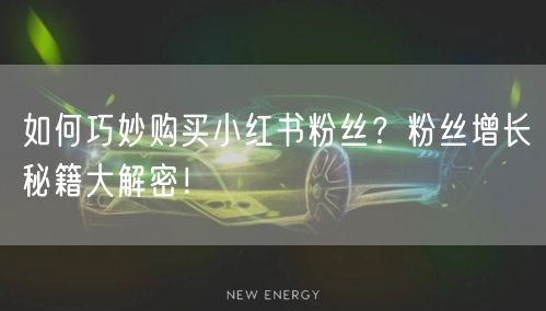 如何巧妙购买小红书粉丝？粉丝增长秘籍大解密！