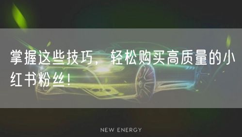 掌握这些技巧，轻松购买高质量的小红书粉丝！