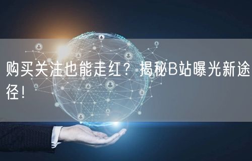 购买关注也能走红？揭秘B站曝光新途径！