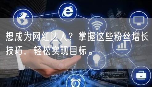 想成为网红达人？掌握这些粉丝增长技巧，轻松实现目标。