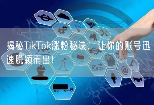 揭秘TikTok涨粉秘诀，让你的账号迅速脱颖而出！