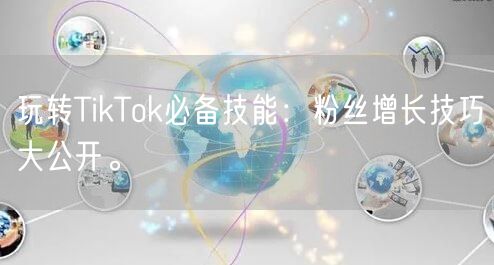 玩转TikTok必备技能：粉丝增长技巧大公开。