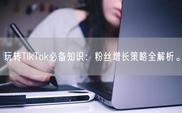 玩转TikTok必备知识：粉丝增长策略全解析。