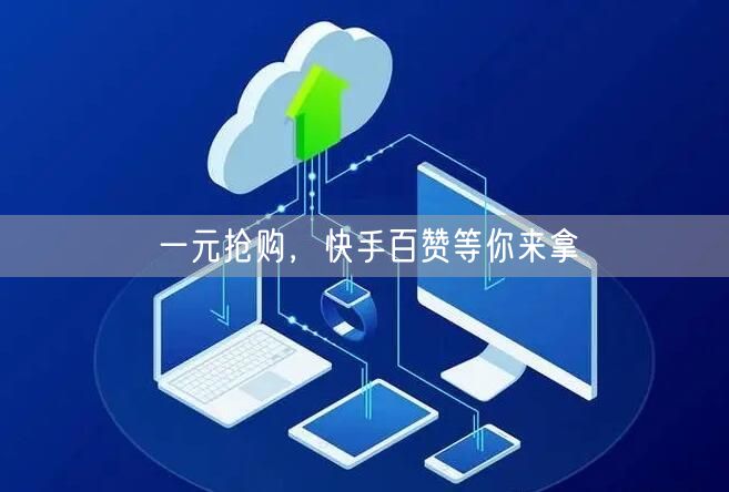 一元抢购，快手百赞等你来拿
