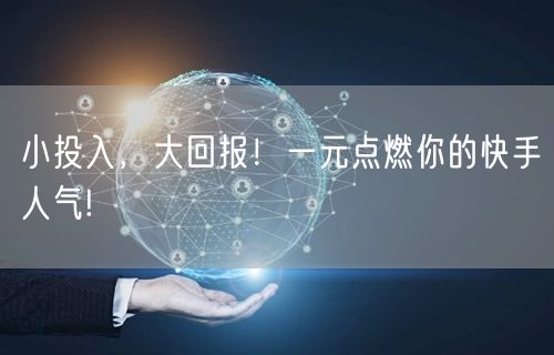 小投入，大回报！一元点燃你的快手人气!