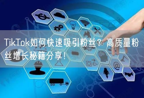TikTok如何快速吸引粉丝？高质量粉丝增长秘籍分享！