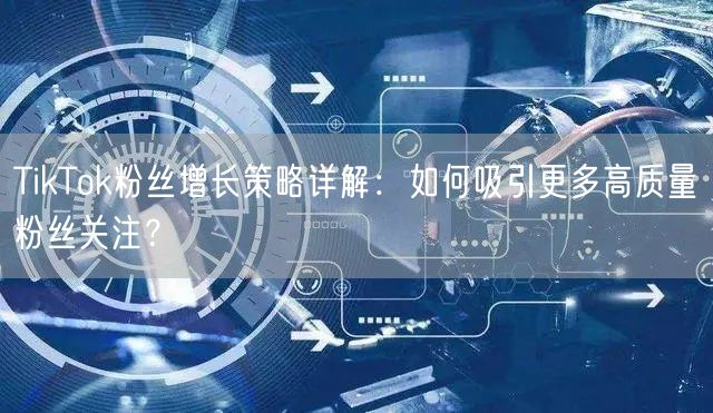 TikTok粉丝增长策略详解：如何吸引更多高质量粉丝关注？