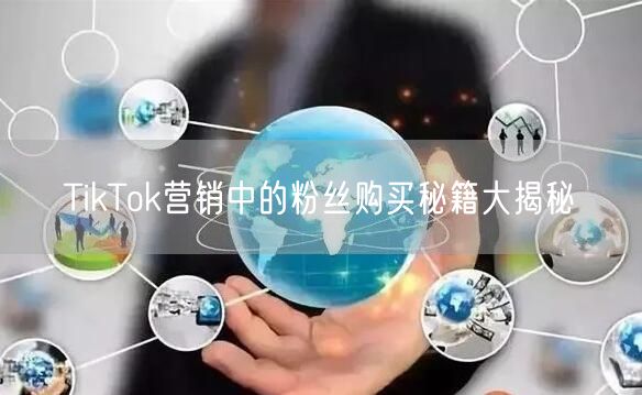 TikTok营销中的粉丝购买秘籍大揭秘