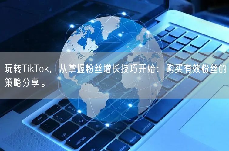 玩转TikTok，从掌握粉丝增长技巧开始：购买有效粉丝的策略分享。