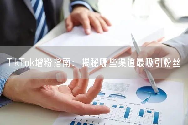 TikTok增粉指南：揭秘哪些渠道最吸引粉丝