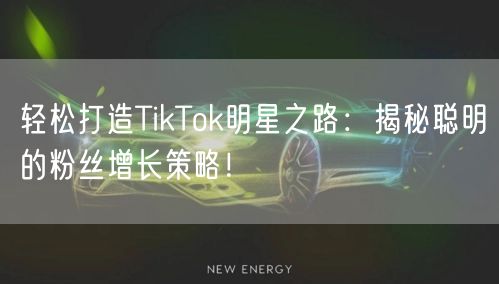 轻松打造TikTok明星之路：揭秘聪明的粉丝增长策略！