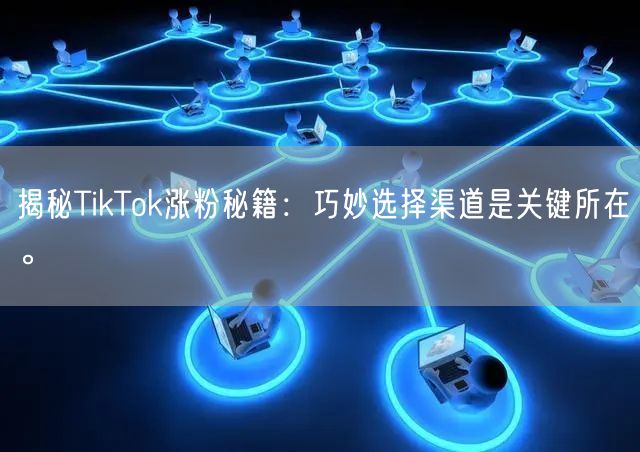 揭秘TikTok涨粉秘籍：巧妙选择渠道是关键所在。