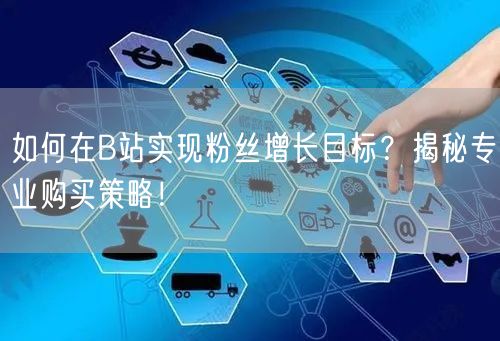 如何在B站实现粉丝增长目标？揭秘专业购买策略！