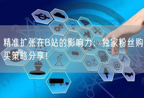 精准扩张在B站的影响力：独家粉丝购买策略分享！
