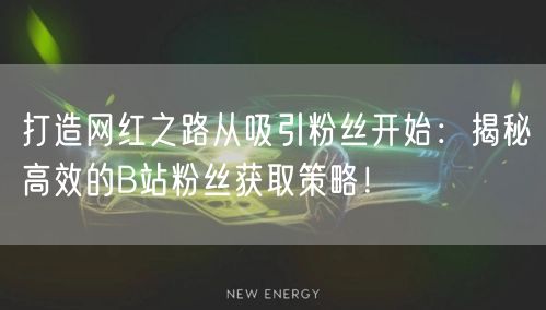 打造网红之路从吸引粉丝开始：揭秘高效的B站粉丝获取策略！