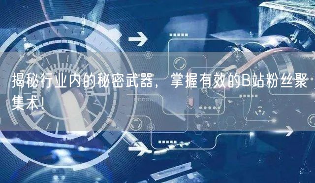揭秘行业内的秘密武器，掌握有效的B站粉丝聚集术！