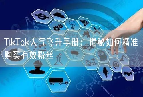 TikTok人气飞升手册：揭秘如何精准购买有效粉丝