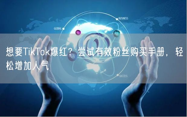 想要TikTok爆红？尝试有效粉丝购买手册，轻松增加人气