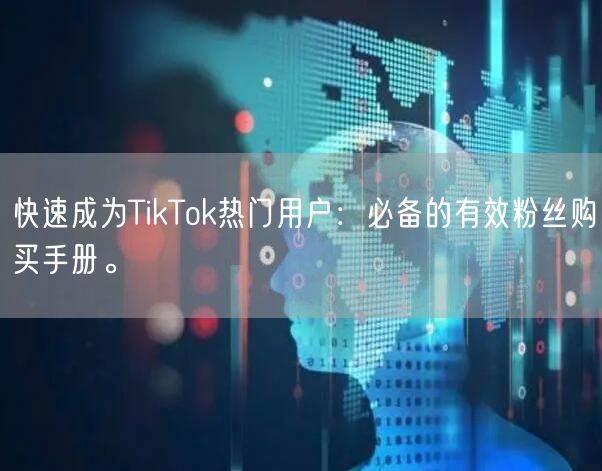 快速成为TikTok热门用户：必备的有效粉丝购买手册。