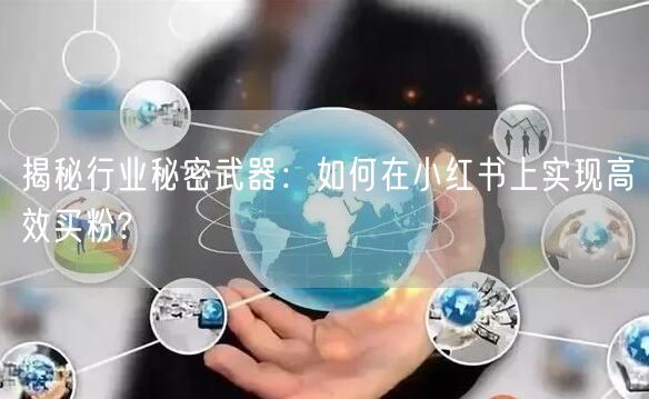 揭秘行业秘密武器：如何在小红书上实现高效买粉?