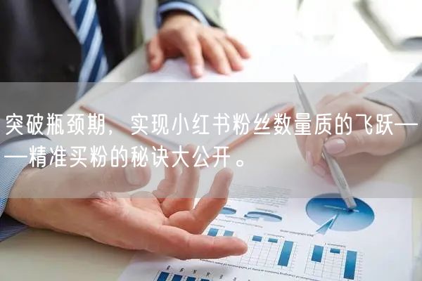 突破瓶颈期，实现小红书粉丝数量质的飞跃——精准买粉的秘诀大公开。