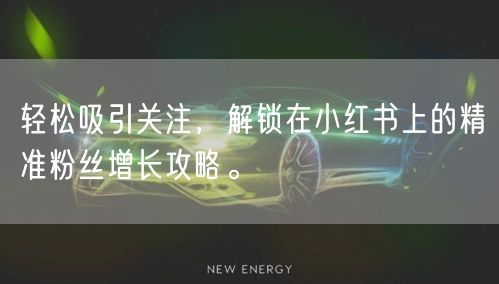 轻松吸引关注，解锁在小红书上的精准粉丝增长攻略。