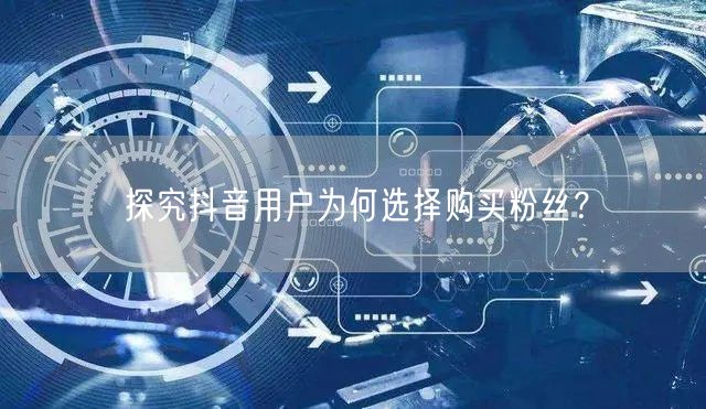探究抖音用户为何选择购买粉丝？