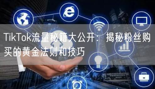 TikTok流量秘籍大公开：揭秘粉丝购买的黄金法则和技巧