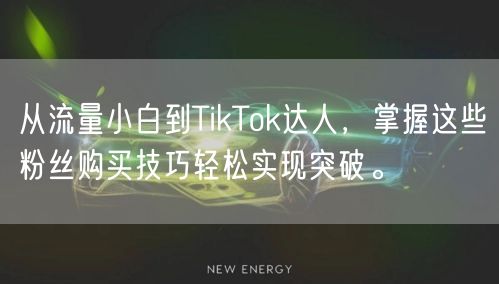 从流量小白到TikTok达人，掌握这些粉丝购买技巧轻松实现突破。
