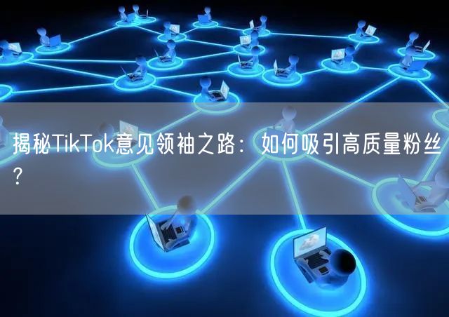 揭秘TikTok意见领袖之路：如何吸引高质量粉丝？