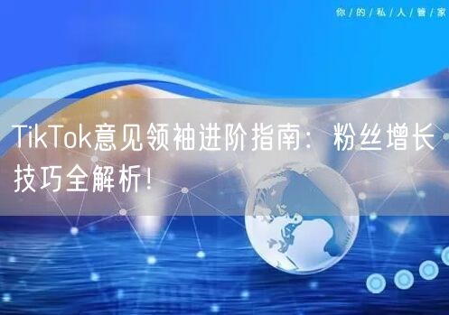 TikTok意见领袖进阶指南：粉丝增长技巧全解析！