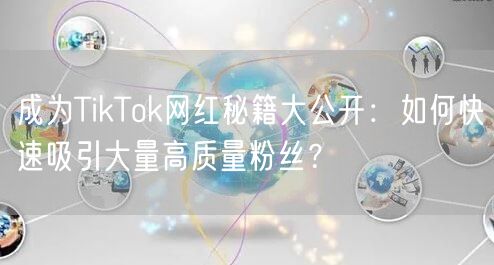 成为TikTok网红秘籍大公开：如何快速吸引大量高质量粉丝？
