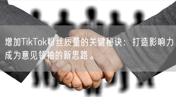 增加TikTok粉丝质量的关键秘诀：打造影响力成为意见领袖的新思路。