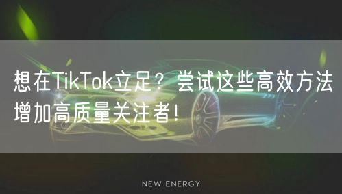 想在TikTok立足？尝试这些高效方法增加高质量关注者！