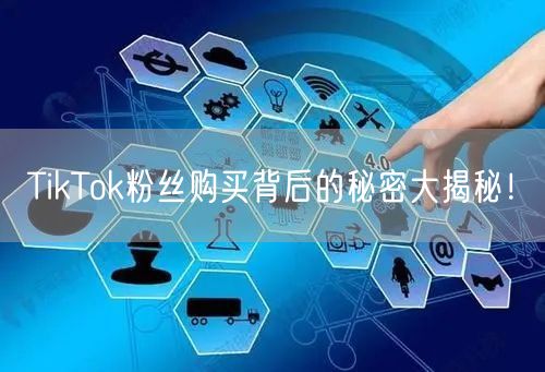 TikTok粉丝购买背后的秘密大揭秘！