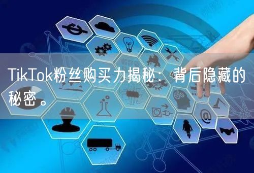 TikTok粉丝购买力揭秘：背后隐藏的秘密。