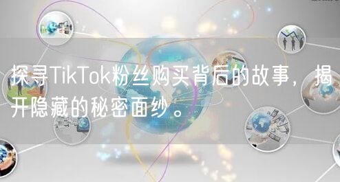 探寻TikTok粉丝购买背后的故事，揭开隐藏的秘密面纱。