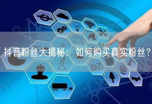 抖音粉丝大揭秘：如何购买真实粉丝？
