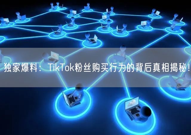 独家爆料：TikTok粉丝购买行为的背后真相揭秘！