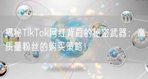 揭秘TikTok网红背后的秘密武器：高质量粉丝的购买策略！
