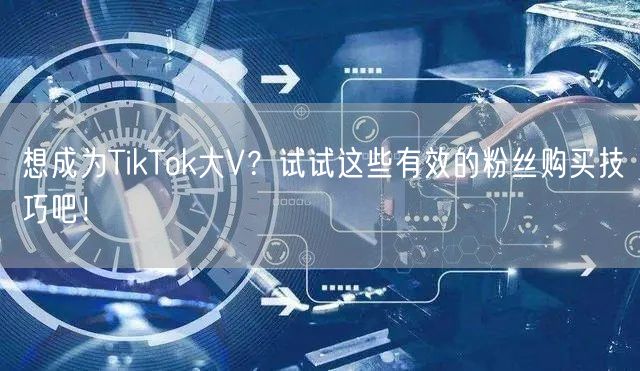 想成为TikTok大V？试试这些有效的粉丝购买技巧吧！