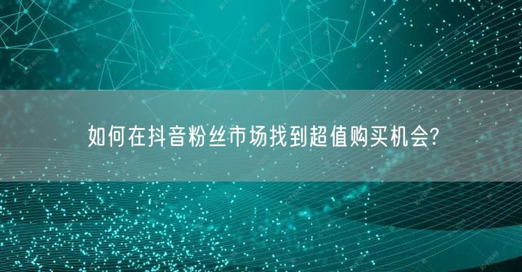 如何在抖音粉丝市场找到超值购买机会?